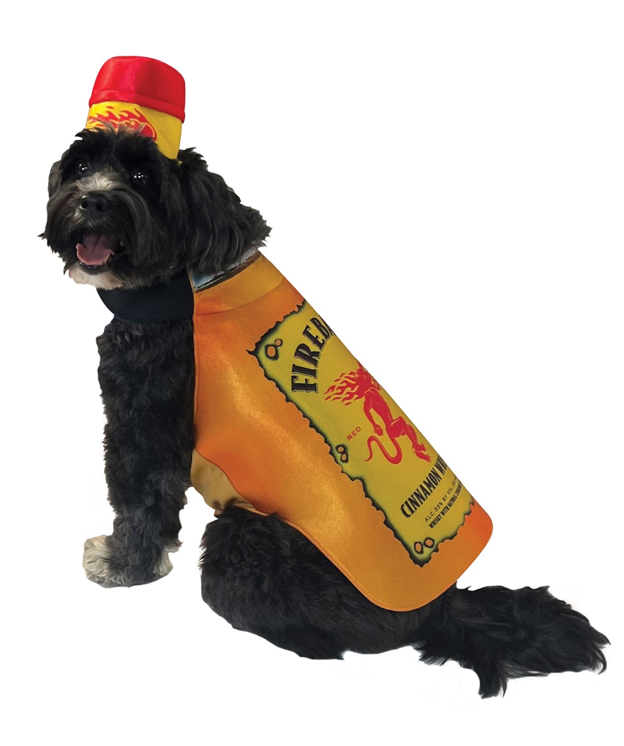 Halloween outfits for large dogs best sale