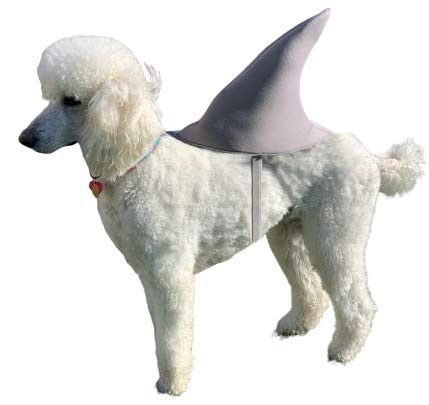 Rasta Imposta Great White Shark Fin Dog Costume, Size XL 10196