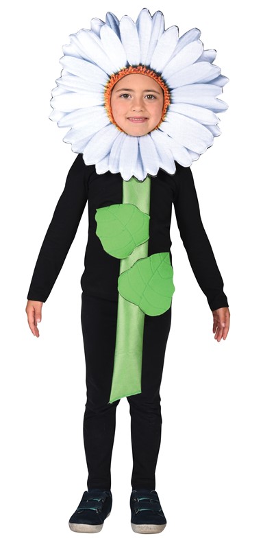 Childrens flower clearance fancy dress costume