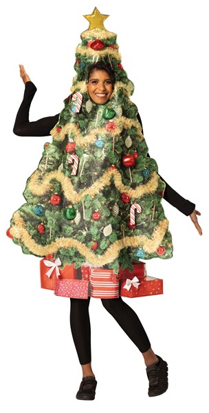 Birthday Costumes, Holiday Costumes, Holiday Hats